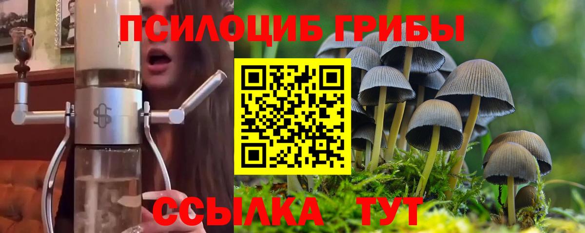 Галлюциногенные грибы мицелий Коряжма
