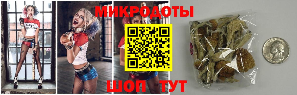 Коряжма  Псилоцибиновые грибы Cubensis  Вход с VPN 